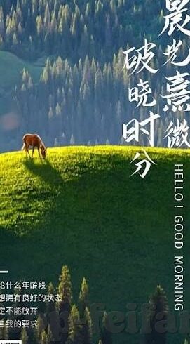 比分大赢家足球比分-揭秘比分大赢家，足球比分背后的数据魔法与投资智慧