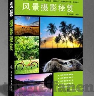 美洲足球俱乐部比分-美洲足球风云，比分背后的激情与荣耀