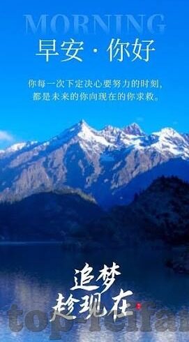 匈牙利足球比赛比分-匈牙利足球风云，一场激战后的比分背后故事