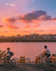 足球17095比分直播-足球17095比分直播，实时追踪绿茵激情，共享赛事盛宴